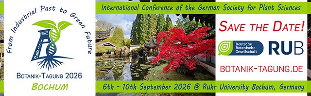 [Translate to Englisch:] "From industrial Past to Green Future" written around an ancient industry tower typical for the region together with a plant changing colours from blue to green is the motto of the German Society for Plant Sciences international Conference, the Botanik-Tagung, 2026 in Bochum Germany, that brings together plant scientists from several scientific disciplines. The image also features an image of the Botanical Garden at Bochum University (RUB) in autumn as well as a text to save the date of the conference, which will take place from 6th to 10th September 2026.